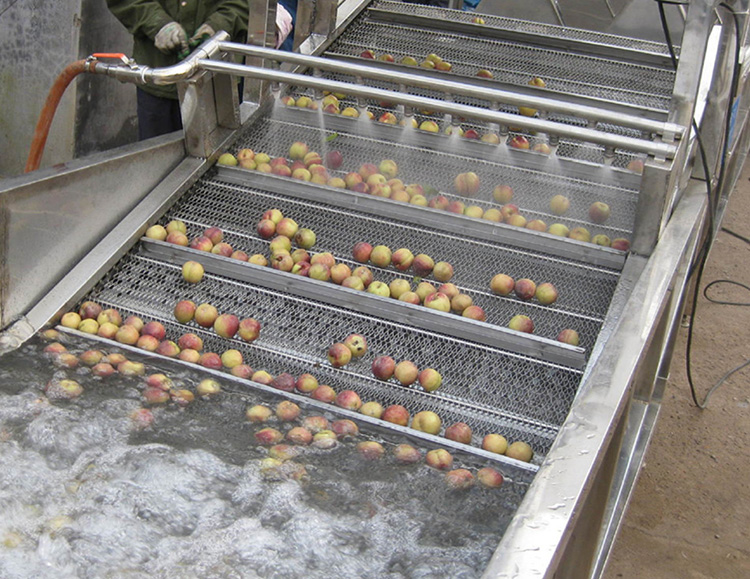 水果清洗机